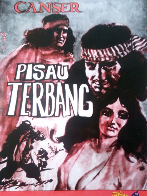 PISAU TERBANG